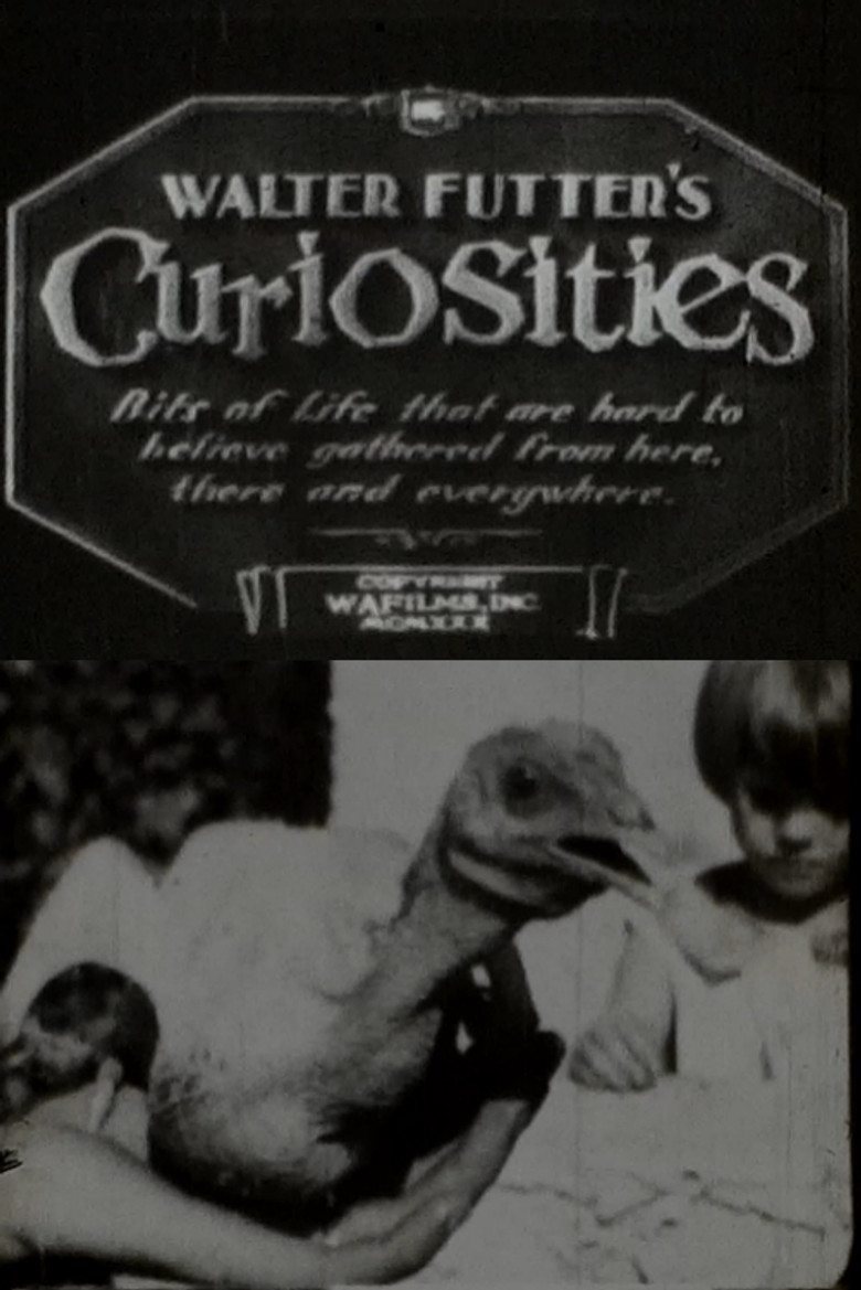 Imatge de Walter Futter's Curiosities