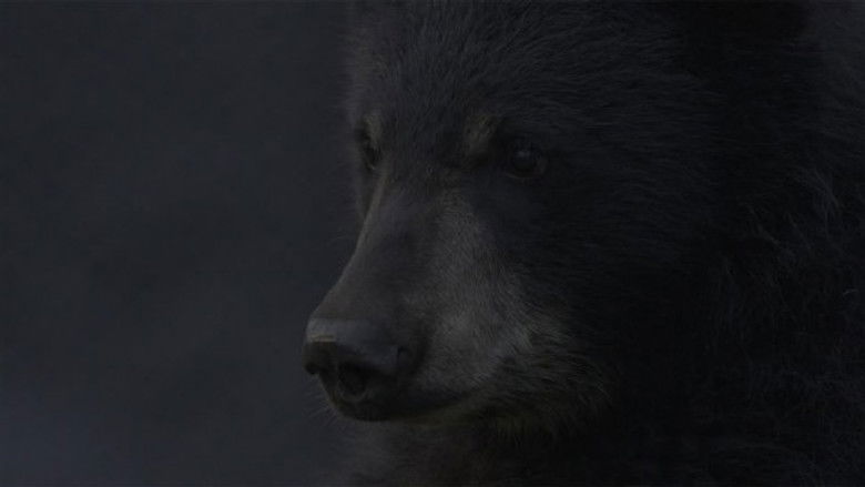 Still image for Cub Camp season 1 episode 5: A Bear's Thanksgiving