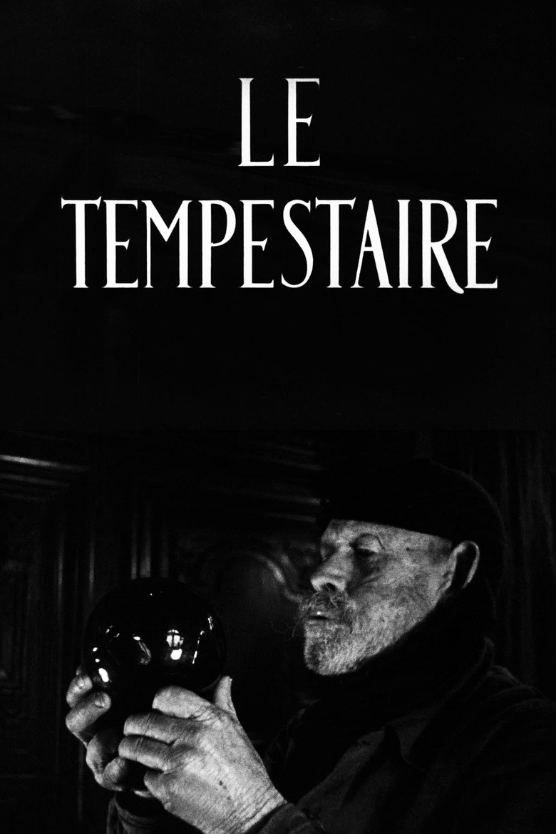 Affiche de LE TEMPESTAIRE
