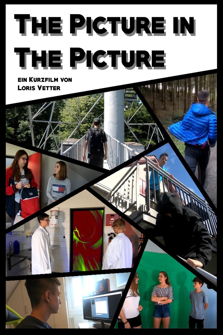 The Picture in the Picture main poster