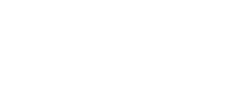 Imagen de Patines de plata