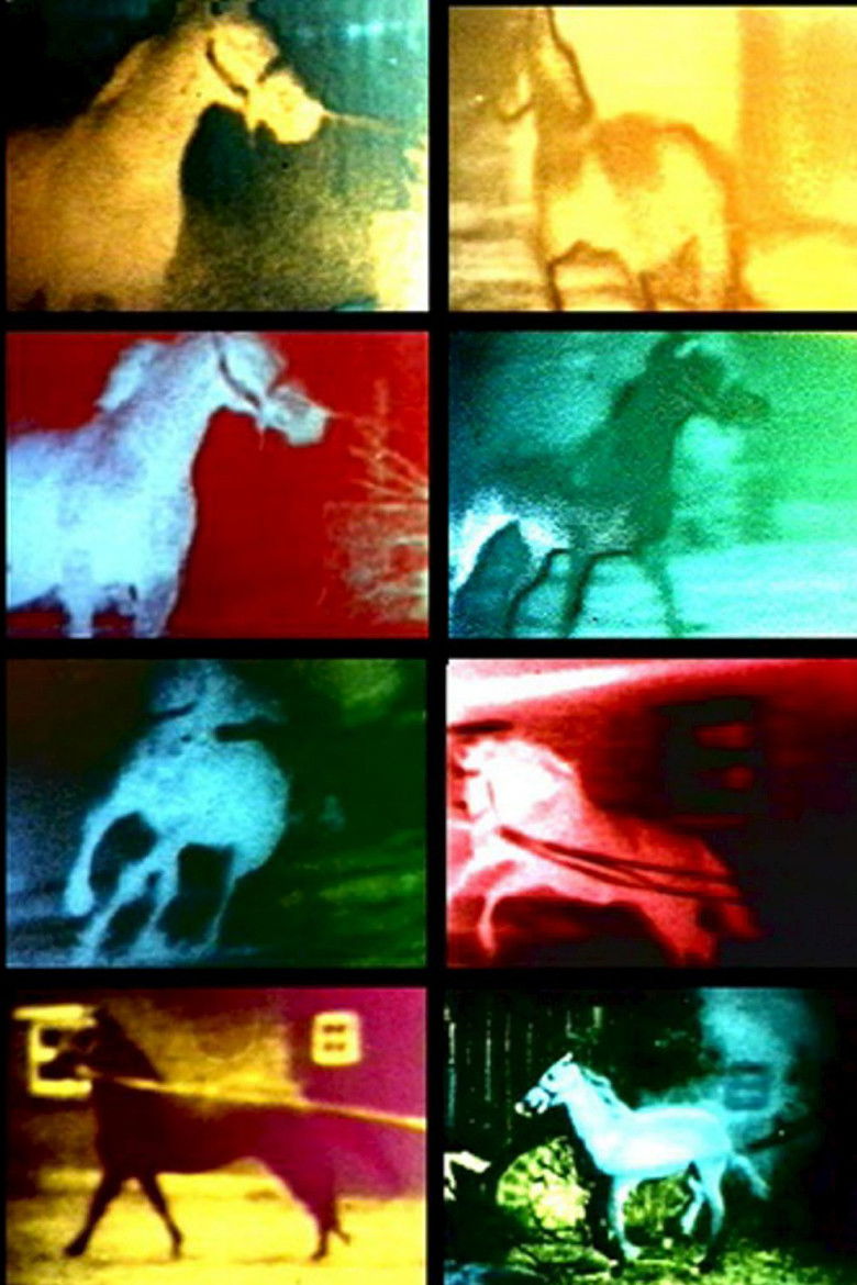 Imatge de Berlin Horse