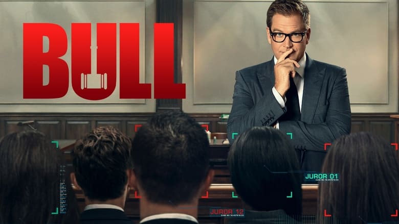 Bull (2016)