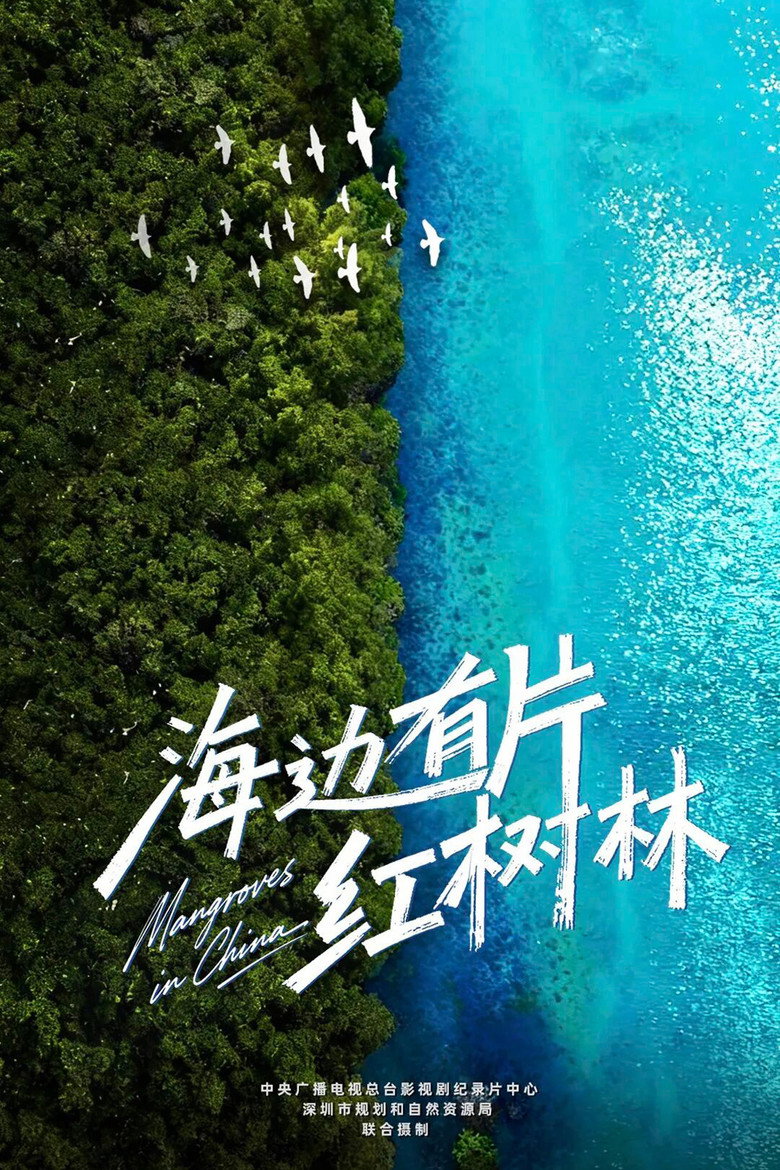 Official poster for 海边有片红树林