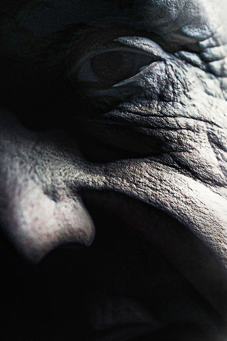 Imatge de Old People