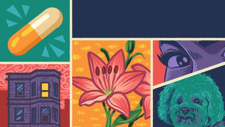 Медиа изображение