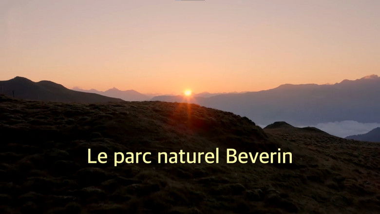 Still image for Wilde Schweiz season 1 episode 4: Episode 4