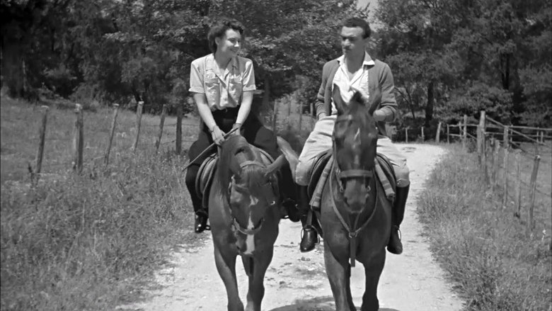 Gallery image from kdWQyNUTV5f8eRMCCDCpC4LGFGe.jpg