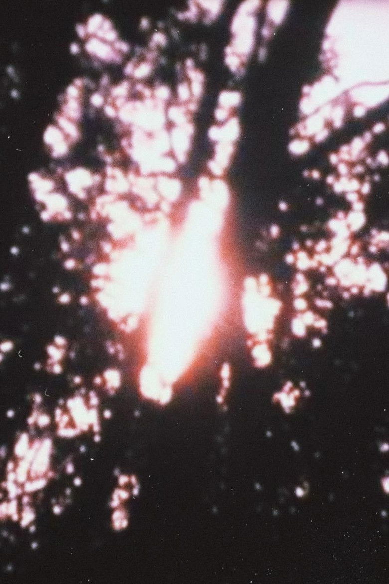 Imatge de Landscape Dissolves