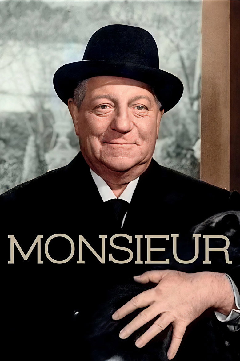 Affiche de MONSIEUR