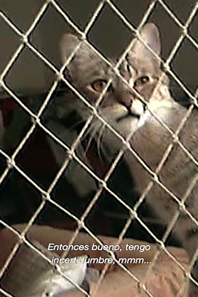 In this quarantine main poster