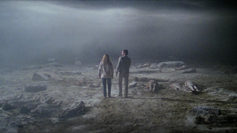 The Beyond backdrop 5