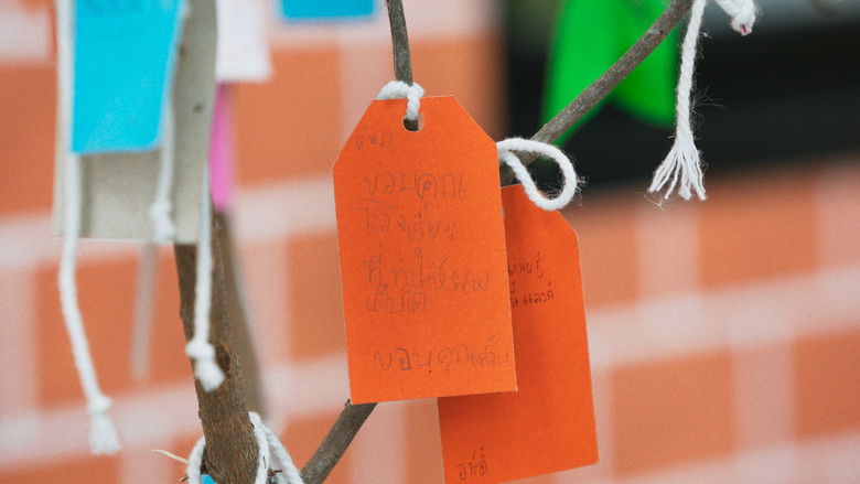 Gallery image from ke9xmjAoEoXBewT3uTay5UX8HXl.jpg