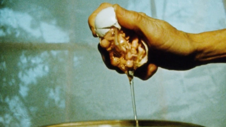 Gallery image from keI46HmHBaxPj81FaFtOAqw0dag.jpg