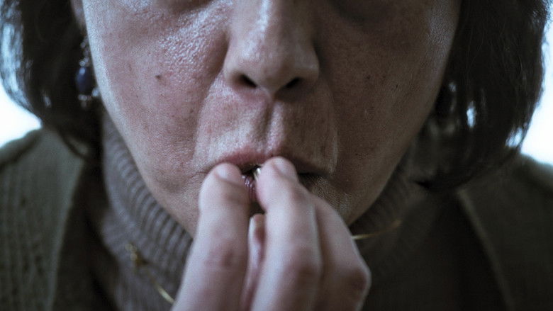 Gallery image from keT0ax02mPMmtDv9w9yJvvPv4dK.jpg