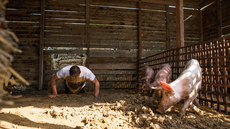 Backdrop de The Bachelor Collection