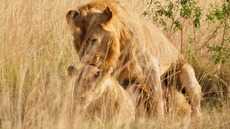 Still image for The Finite Adventure Crew season 1 episode 13: Episode 13