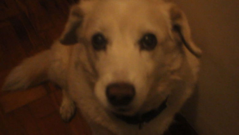 Imatge de Miranda: Natureza Maligna 2