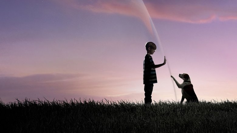 Under the Dome (2013)