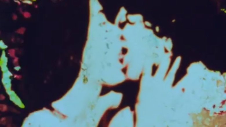 Gallery image from kgL6ZnbFHLpPueiOghOs9FRoDqb.jpg