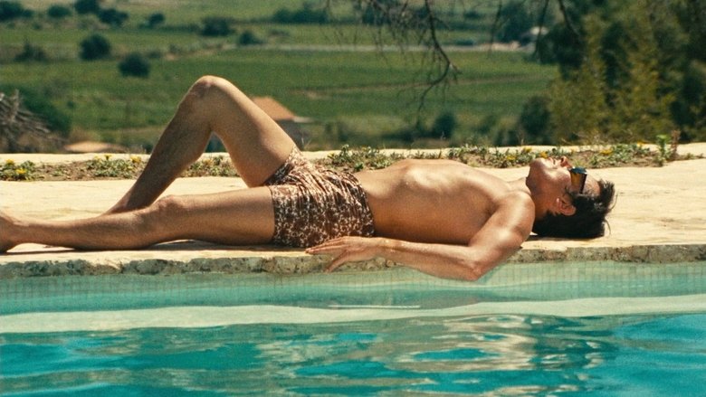 The Swimming Pool (1969)