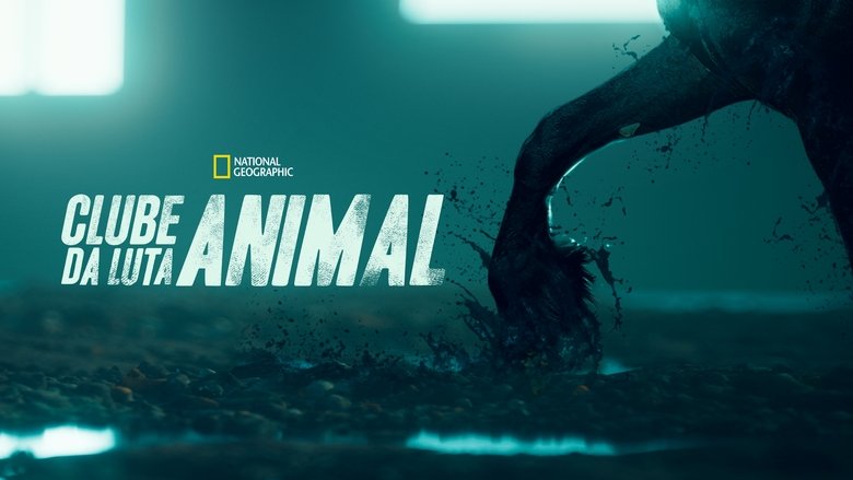 Gallery image from kgUlbByDmZrl9CAsFas9twuofA4.jpg