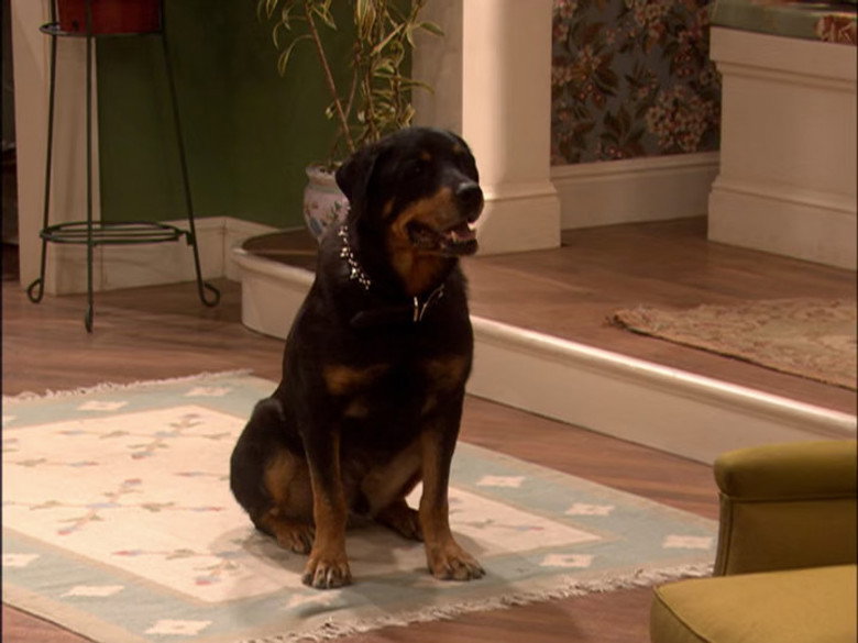 Still from Drake & Josh - Season 4 Episode 2