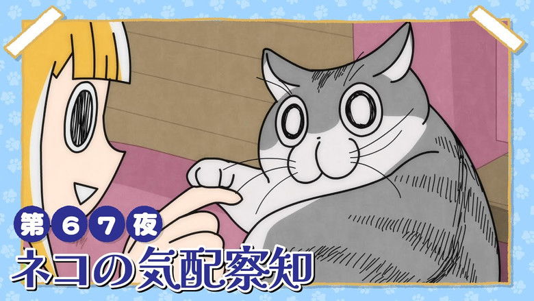 Still image for Nights with a Cat season 1 episode 67: Night 67: A Cat Detecting Your Presence