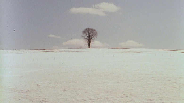 Gallery image from kgoXBhTo39BDg5Y2XriNxMboP1p.jpg