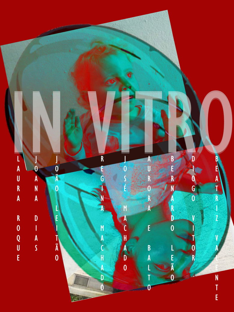 Imatge de IN VITRO
