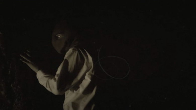 Gallery image from khNtE9cGqDipYCbkGWnjHWptcUD.jpg