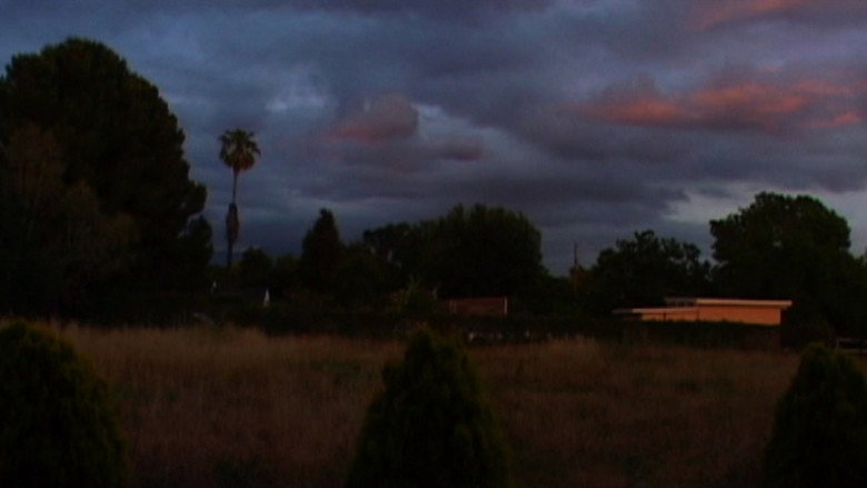 Inland Empire (2006)