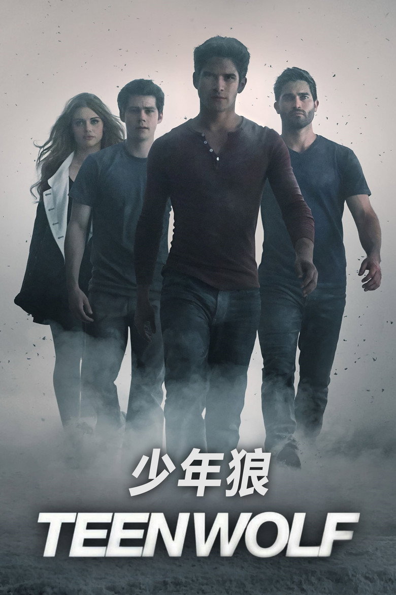 少狼 封面海报