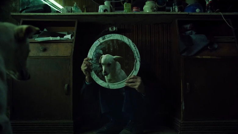 Image d'arrière-plan 8 du film البحث عن منفذ لخروج السيد رامبو