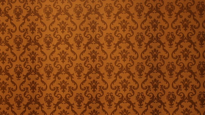 Imatge de Bem-me-quer