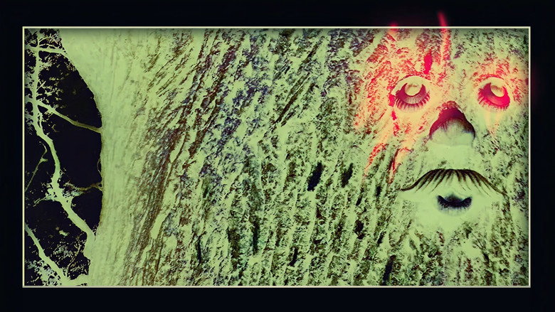 The Legendary Pink Dots: 9 Lives To Wonder — ภาพประกอบ