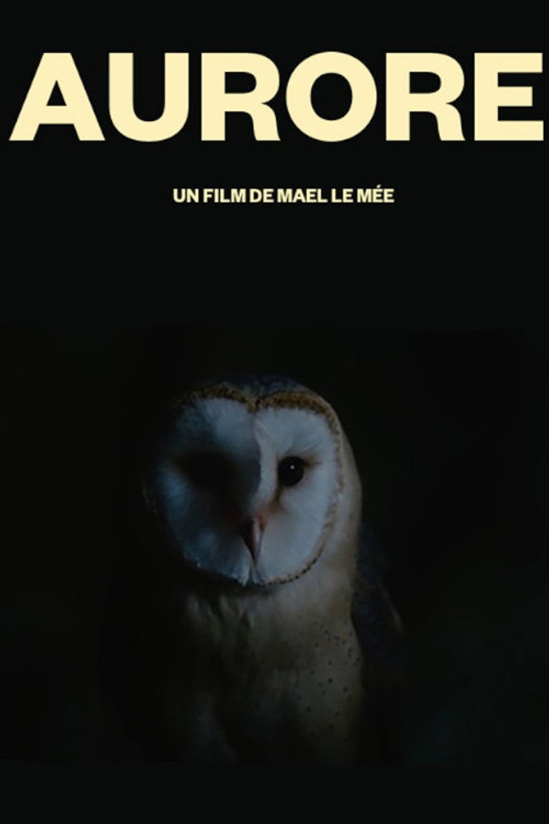 Aurore — image 2