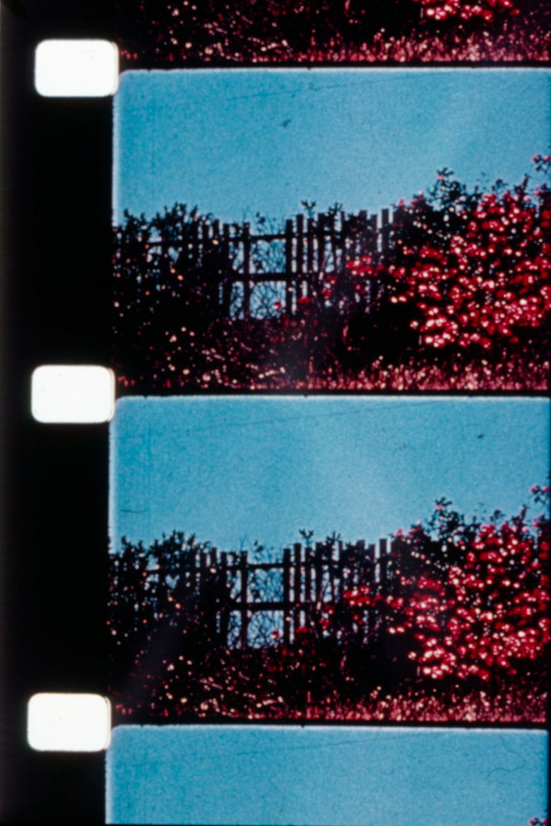 Imatge de All My Life