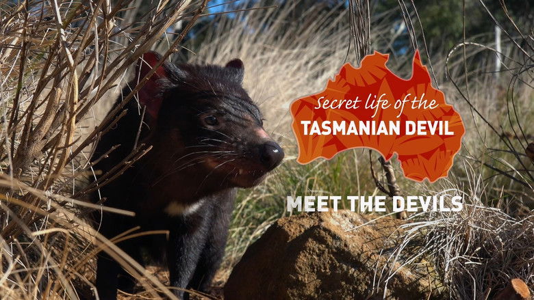 Still image for Secret Life Of The Tasmanian Devil season 1 episode 1: Meet the Devils Still image for Secret Life Of The Tasmanian Devil season 1 episode 1: Meet the Devils