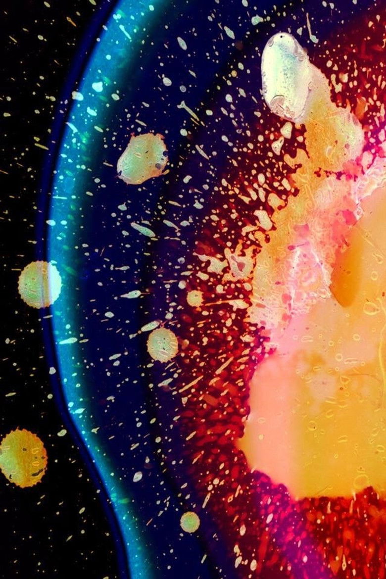 Imatge de Radiohead: In Rainbows - From the Basement