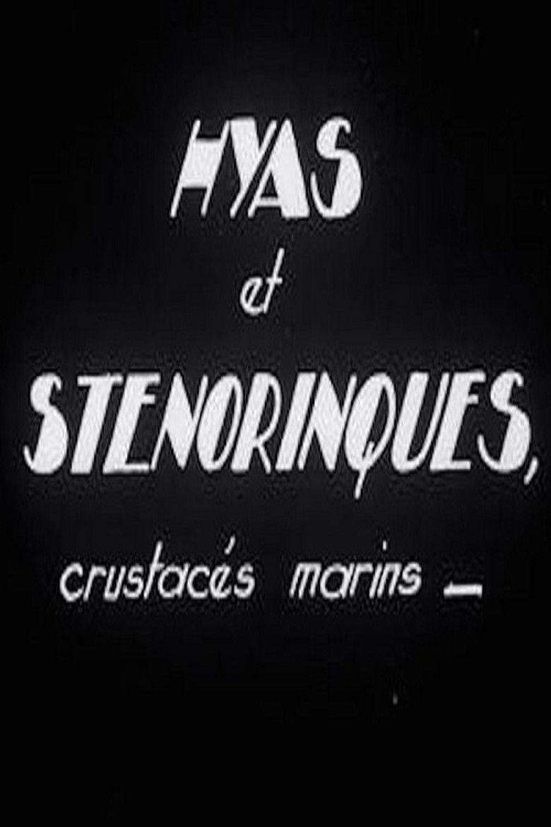 Imatge de Hyas et stenorinques