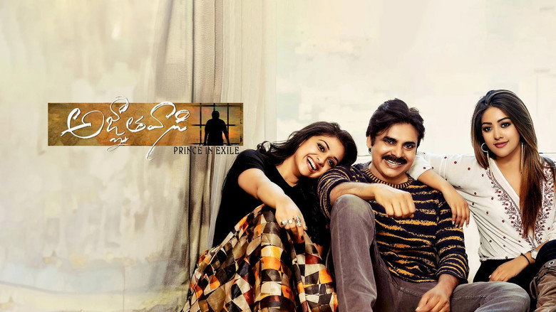 Agnyaathavaasi image 12