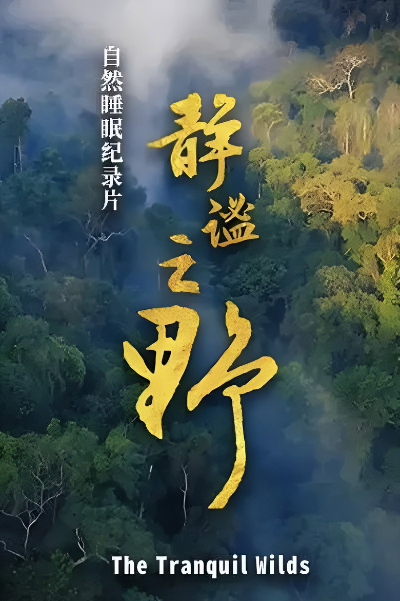 Official poster for 静谧之野