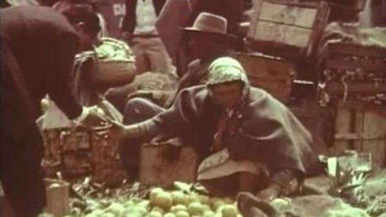 Gallery image from kndBkVqr9yIvYitsE0dVuBKvAXz.jpg