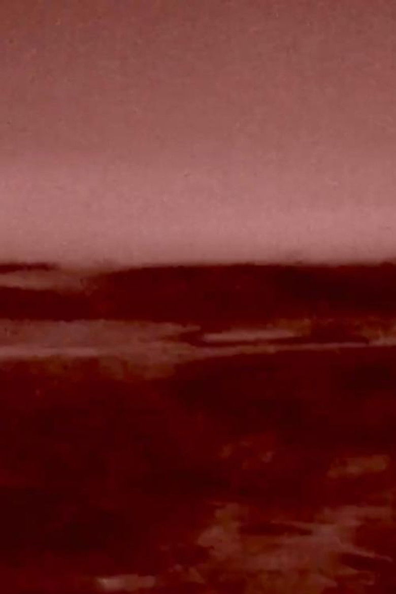 Imatge de Maré Terra