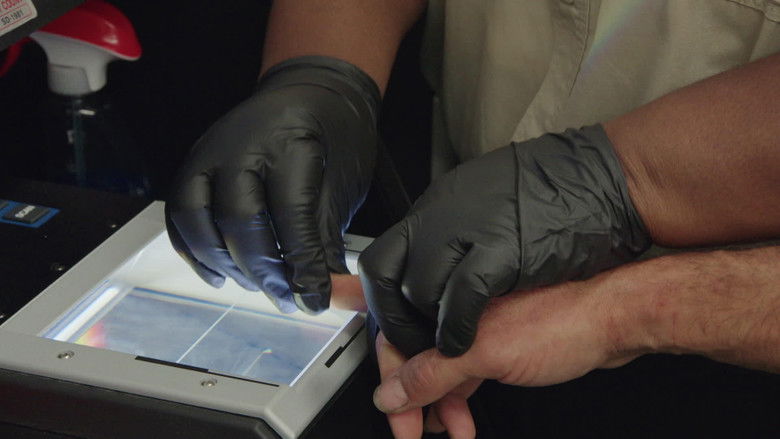 Still image for Booked: First Day In season 1 episode 10: No Bond, No Problem Still image for Booked: First Day In season 1 episode 10: No Bond, No Problem