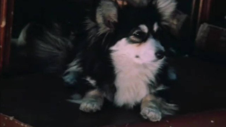 Gallery image from knxmT0SvrL9XWfgBGyMrFR4UIGX.jpg