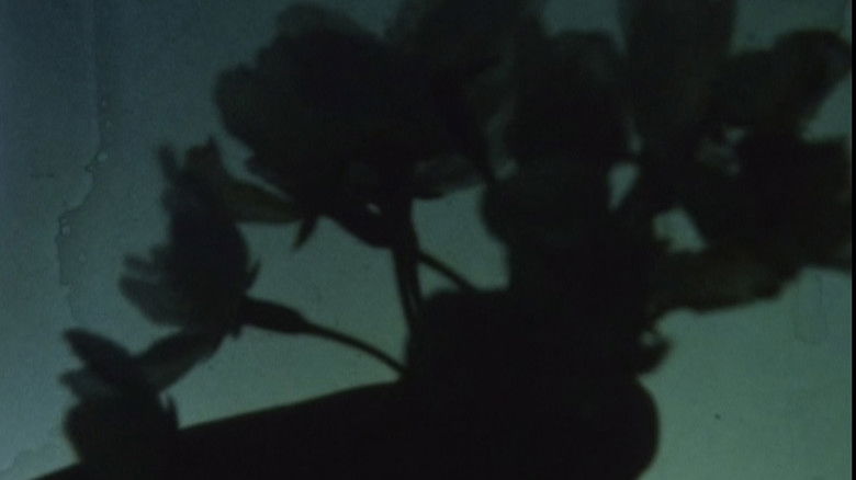 Gallery image from kokocdDnxFcvc8bCYCmQUTkwGem.jpg