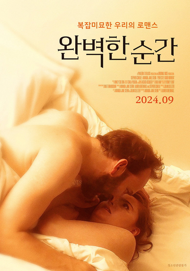 완벽한 순간(Perfectly Good Moment) poster
