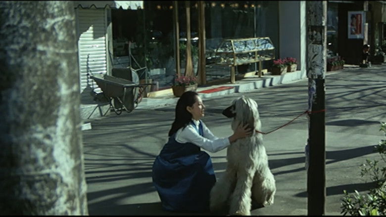 Imatge de 十代　－恵子の場合－